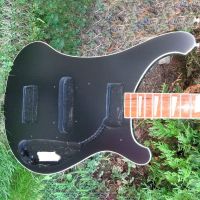 Rickenbacker 4001 bass guitar overhaul&nbsp;&copy;&nbsp;2026&nbsp;Guitar Angel