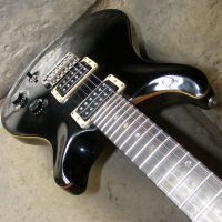 PRS, tremol-no fitted and setup&nbsp;&copy;&nbsp;2026&nbsp;Guitar Angel