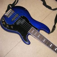 Shuker 5 string bass set up&nbsp;&copy;&nbsp;2026&nbsp;Guitar Angel