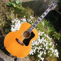 Guild F50 &nbsp;&copy;&nbsp;2026&nbsp;Guitar Angel