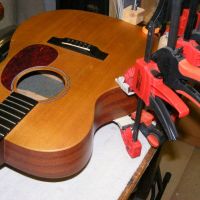 Martin, loose back&nbsp;&copy;&nbsp;2026&nbsp;Guitar Angel